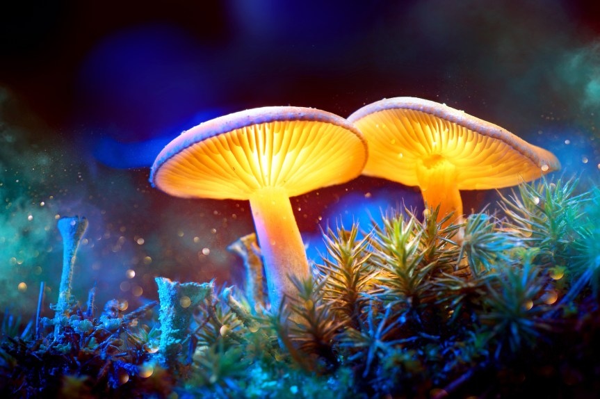 Magic-mushroom-ingredient-approved-by-FDA-for-depression-trial